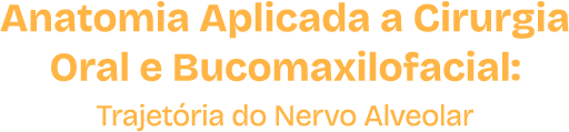 Anatomia aplicada a Cirurgia Oral e Bucomaxilofacial: Trajetória do Nervo Alveolar