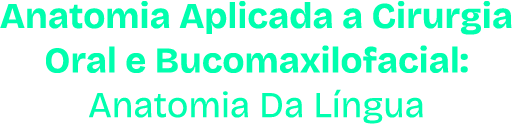 Anatomia Aplicada a Cirurgia Oral e Bucomaxilofacial: Anatomia de Língua 