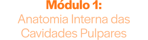 Módulo 1: Anatomia Interna das Cavidades Pulpares