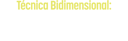 Técnica Bidimensional: Controle e Sofisticação em Uma Única Prescrição