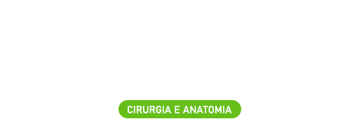 Questões comentadas: ENARE 2025 - Cirurgia e Anatomia