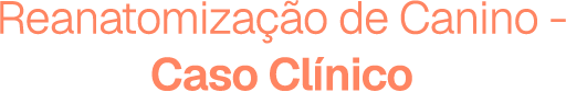 Reanatomização de Canino - Caso clínico