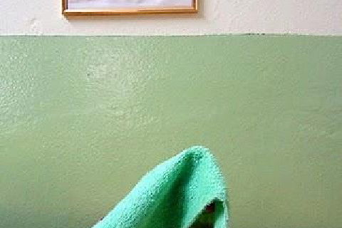 Prevenção Odontológica em Bebês e Crianças (0 a 5 Anos)