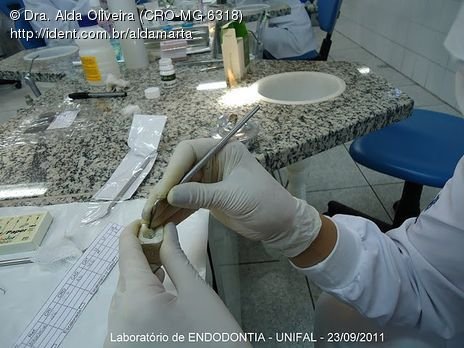 Laboratório Pré-Clínico de Endodontia da Unifal