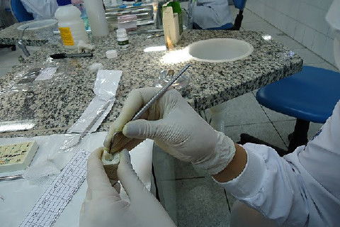 Laboratório Pré-Clínico de Endodontia da Unifal