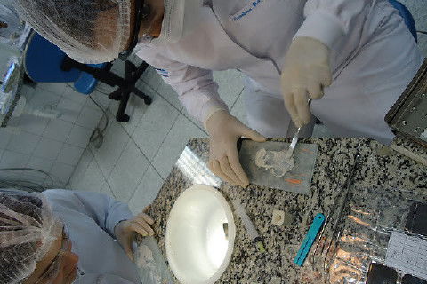 Laboratório Pré-Clínico de Endodontia da Unifal