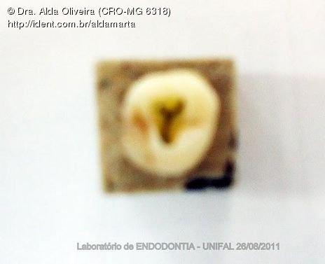 Laboratório Pré-Clínico de Endodontia da Unifal