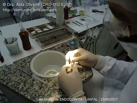 Laboratório Pré-Clínico de Endodontia da Unifal