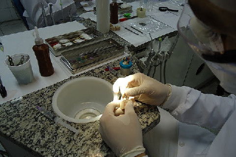 Laboratório Pré-Clínico de Endodontia da Unifal