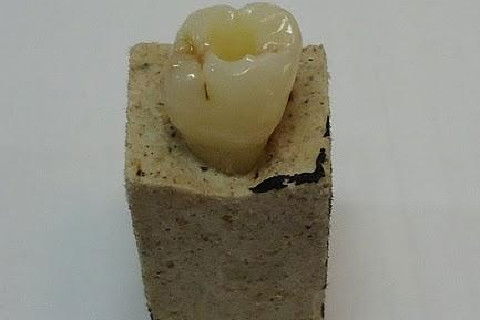 Laboratório Pré-Clínico de Endodontia da Unifal