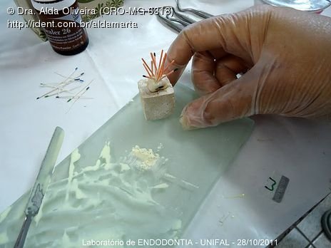 Laboratório Pré-Clínico de Endodontia da Unifal