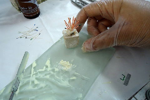 Laboratório Pré-Clínico de Endodontia da Unifal