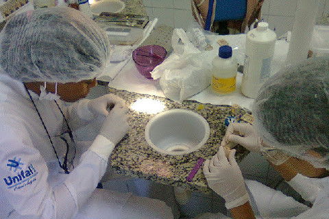 Laboratório Pré-Clínico de Endodontia da Unifal