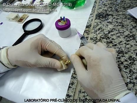 Laboratório Pré-Clínico de Endodontia da Unifal