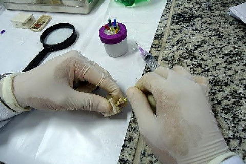 Laboratório Pré-Clínico de Endodontia da Unifal