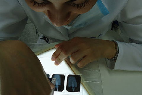 Laboratório Pré-Clínico de Endodontia da Unifal