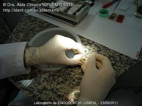 Laboratório Pré-Clínico de Endodontia da Unifal