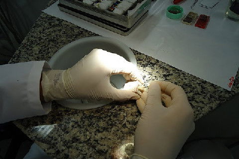 Laboratório Pré-Clínico de Endodontia da Unifal