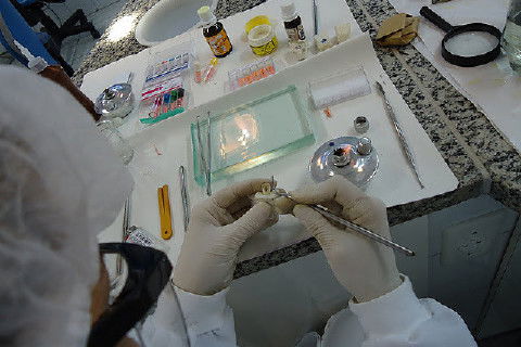 Laboratório Pré-Clínico de Endodontia da Unifal