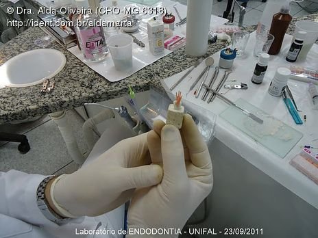 Laboratório Pré-Clínico de Endodontia da Unifal