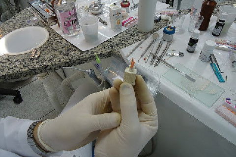 Laboratório Pré-Clínico de Endodontia da Unifal