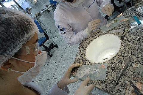 Laboratório Pré-Clínico de Endodontia da Unifal