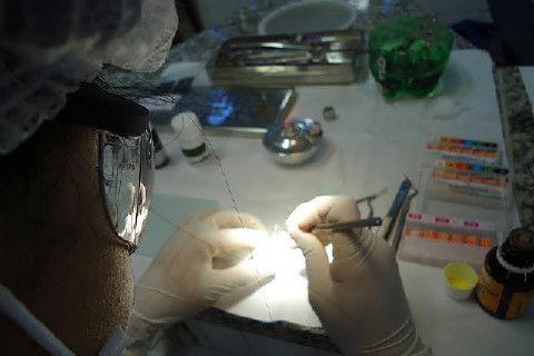 Laboratório Pré-Clínico de Endodontia da Unifal