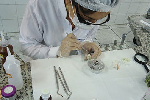 Laboratório Pré-Clínico de Endodontia da Unifal