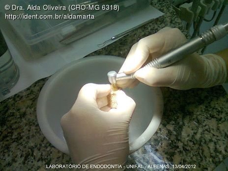 Laboratório Pré-Clínico de Endodontia da Unifal