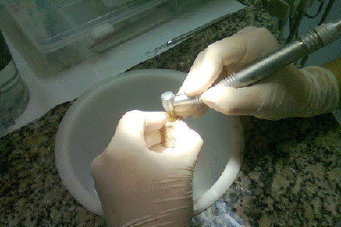Laboratório Pré-Clínico de Endodontia da Unifal