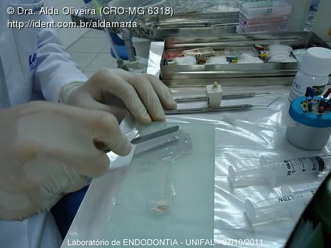 Laboratório Pré-Clínico de Endodontia da Unifal