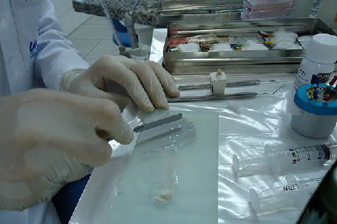 Laboratório Pré-Clínico de Endodontia da Unifal