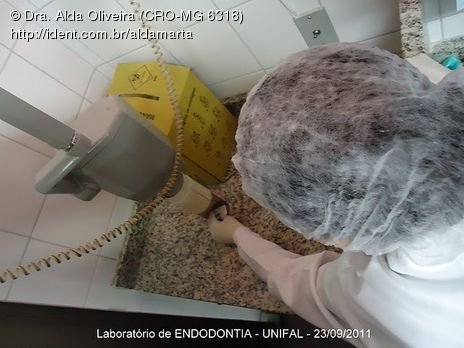 Laboratório Pré-Clínico de Endodontia da Unifal