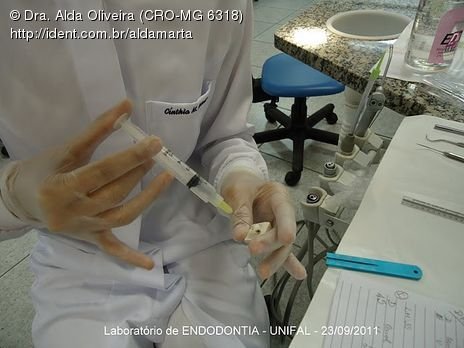 Laboratório Pré-Clínico de Endodontia da Unifal