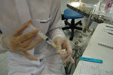 Laboratório Pré-Clínico de Endodontia da Unifal
