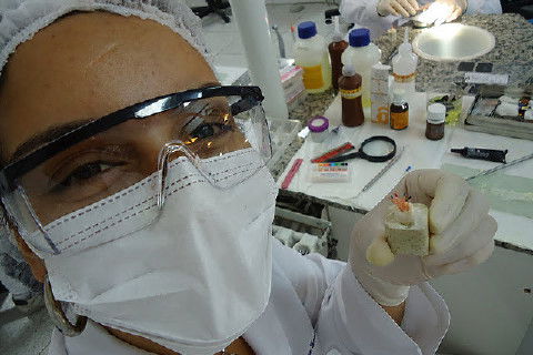 Laboratório Pré-Clínico de Endodontia da Unifal