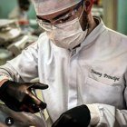 Dr. Jimmy Principe Brito de Sá (Cirurgião-Dentista)