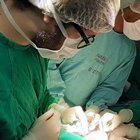 Dr. Gustavo Henrique Ramos Rody (Cirurgião-Dentista)
