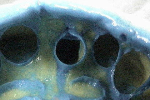 Detalhe da moldagem, com as facetas de orientação para colocação do transfer