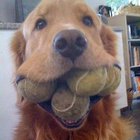 Caio Daniel Vetter (Estudante de Odontologia)